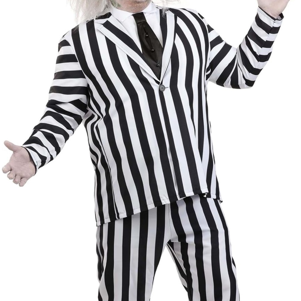 Beetlejuice Costume: Never Worn